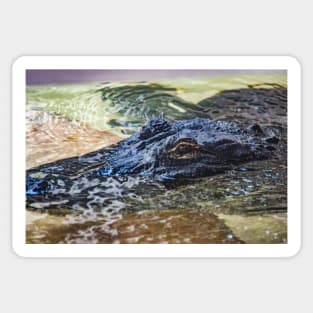 Headshot of the Alligator Sticker